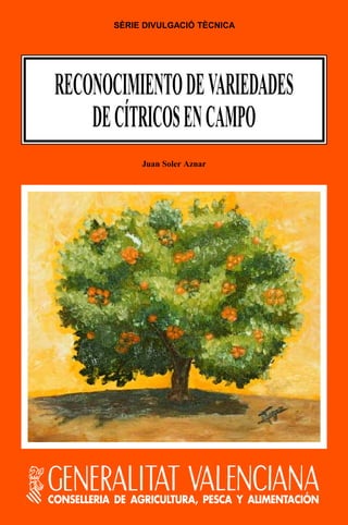 SÈRIE DIVULGACIÓ TÈCNICA
CONSELLERIA DE AGRICULTURA, PESCA Y ALIMENTACIÓN
Juan Soler Aznar
RECONOCIMIENTODEVARIEDADES
DECÍTRICOSENCAMPO
 