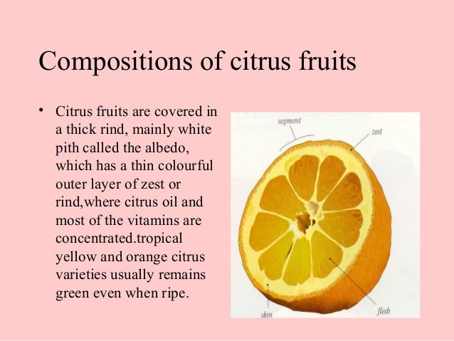 Image result for WHITE pulp PART OF CITRUS FRUITS