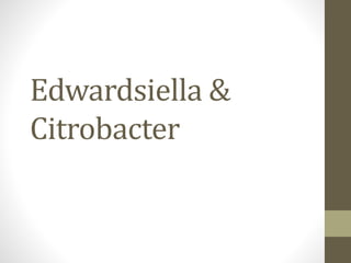 Edwardsiella &
Citrobacter
 
