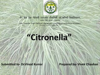 “Citronella”
Submitted to- Dr.Vinod Kumar Prepared by- Vivek Chauhan
 