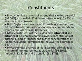 Constituents
• Phytochemical analysis of essential oil yielded geraniol
(40.06%), citronellal (27.44%)and citronellol (10.45%) as
the main constituents.
• Both Ceylon- and Java-type citronella oils contain over
80 constituents, primarily monoterpene compounds and
minor amounts of sesquiterpenes.
• Main constituents of the Ceylon oil is citronellal and
citronellol. Ceylon oil contains lower concentrations of
citronellal and citronellol and higher concentrations of
isomethyleugenol compared to the Java-type citronella
oil.
• Phytochemical analysis of leaf essential oil yielded a
mixture of monoterpenes, as citronellal (36.19%),
geraniol (32.82%), and citronellol (11.37%).
 