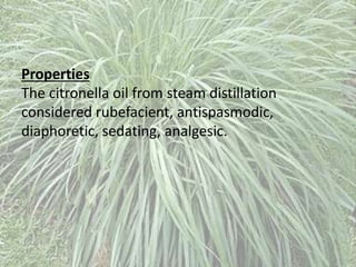 Properties
The citronella oil from steam distillation
considered rubefacient, antispasmodic,
diaphoretic, sedating, analgesic.
 