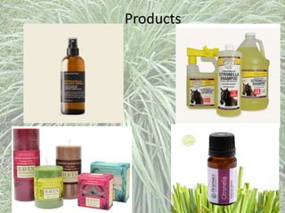 Products
 