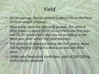 Yield
• On an average, the oil content is about 1% on the basis
of fresh weight of leaves.
• Depending upon the nature of growth, the yield of
fresh leaves is about 15-20 tonnes/ha in the first year
and 20-25 tonnes/ha in the second as well as in the
third year, after which the yield declines.
• The yield of oil obtained during the first year is about
100 kg/ha and 150 kg/ha during second and third
years.
• Under very favourable conditions, yield of 200-250 kg
oil/ha can be obtained
 