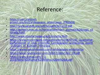 Reference:
• https://uses.plantnet-
project.org/en/Cymbopogon_winterianus_(PROSEA)
• http://www.upsbdb.org/pdf/Souvenir2011/16.pdf
• http://agritech.tnau.ac.in/horticulture/horti_aromatic%20crops_cit
ronella.html
• http://www.stuartxchange.org/Citronella.html
• https://www.researchgate.net/publication/234007235_Qualitative_
performance_of_Java_citronella_Cymbopogon_winterianus_Jowitt
_cultivars_in_Kumaon_Himalaya
• https://www.rarepalmseeds.com/cymbopogon-winterianus
• https://www.ripublication.com/ijbb17/ijbbv13n2_04.pdf
• https://www.ijcmas.com/7-1-
2018/Rahul%20Kumar%20Mishra,%20et%20al.pdf
 