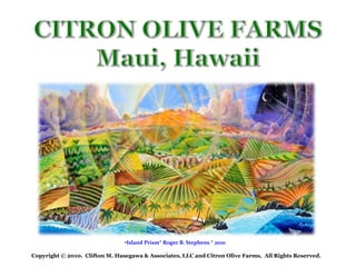 CITRON OLIVE FARMSMaui, Hawaii ,[object Object],  Copyright © 2010.  Clifton M. Hasegawa & Associates, LLC and Citron Olive Farms.  All Rights Reserved.  