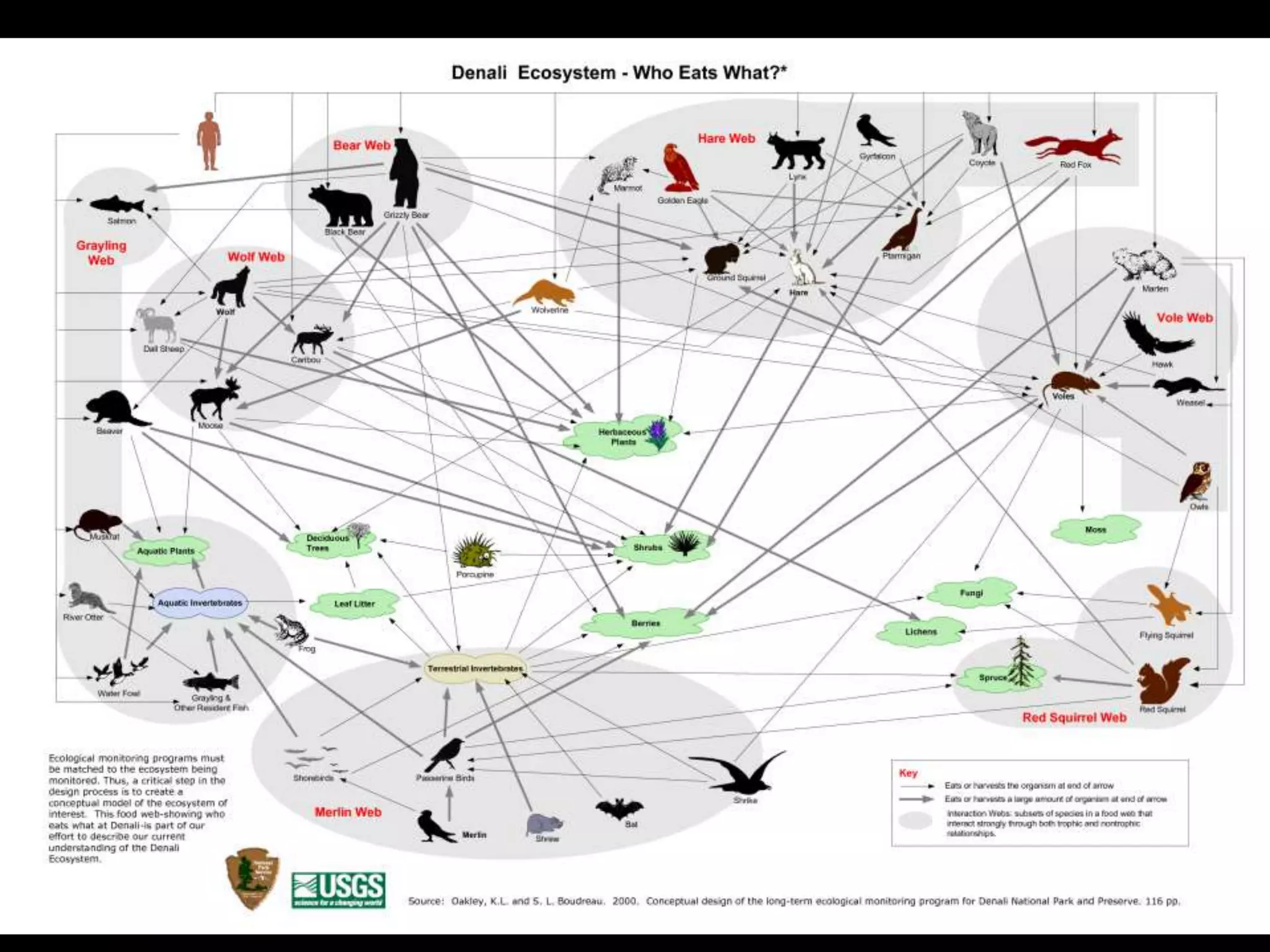 Grizzly Denali picture
 
