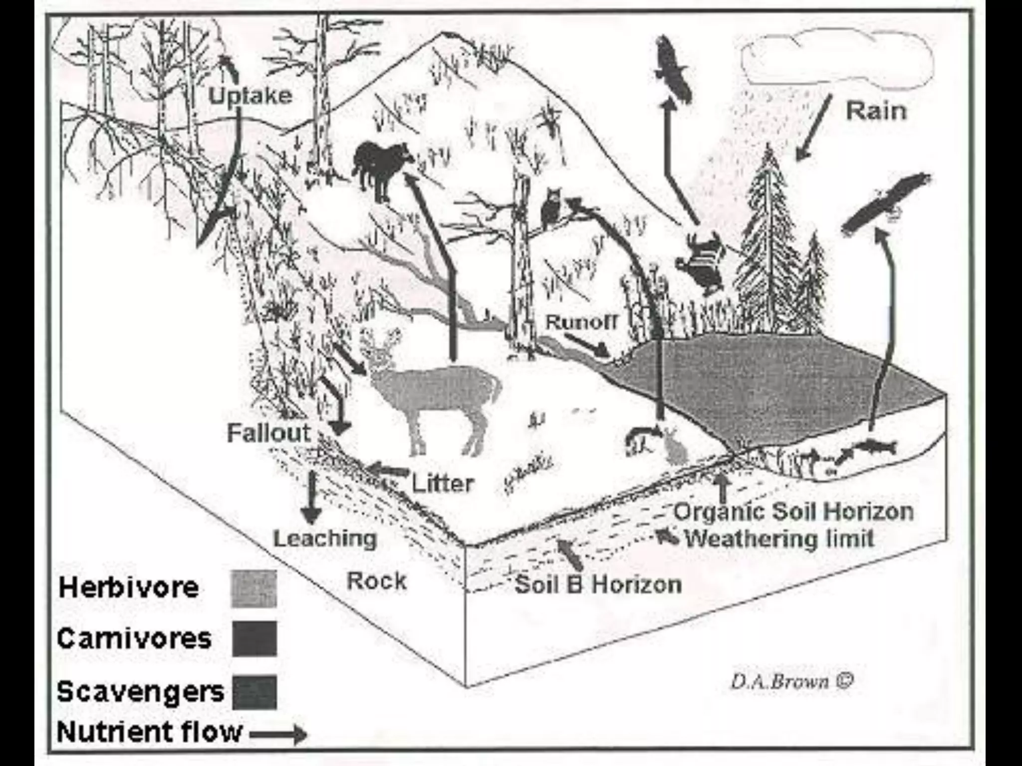 Ecosystems are real
• Well they are actually a model – but with the
  good and the bad
 