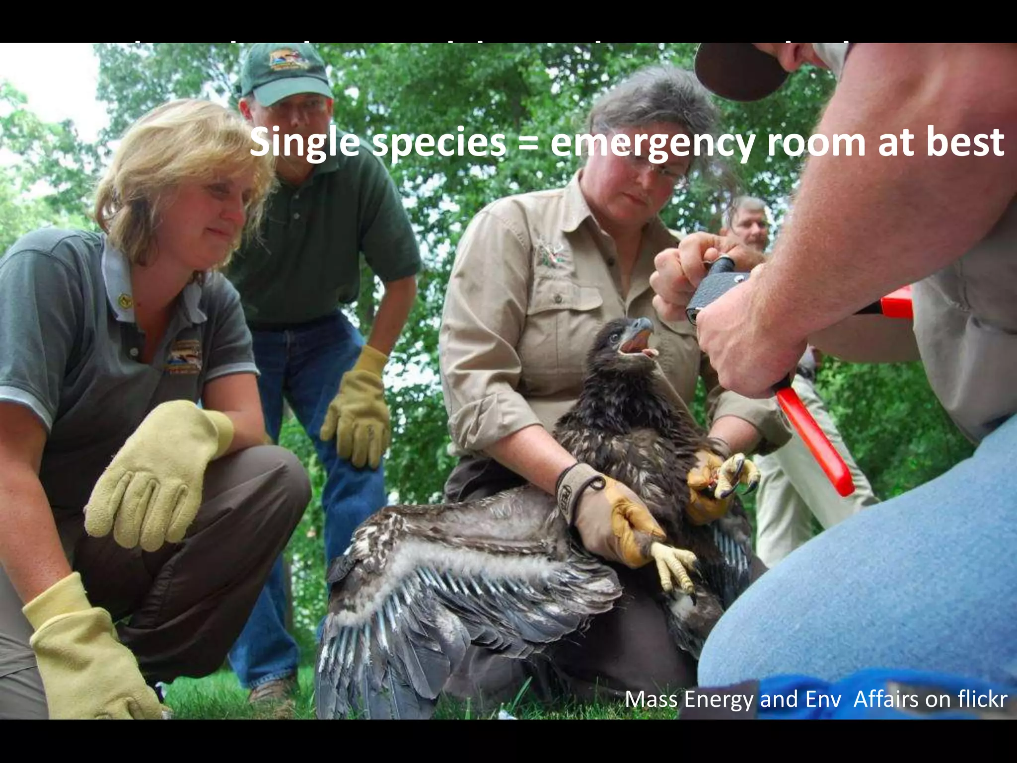 They had a problem that needed to
 move beyond individual species at best
      Single species = emergency room




                      Mass Energy and Env Affairs on flickr
 