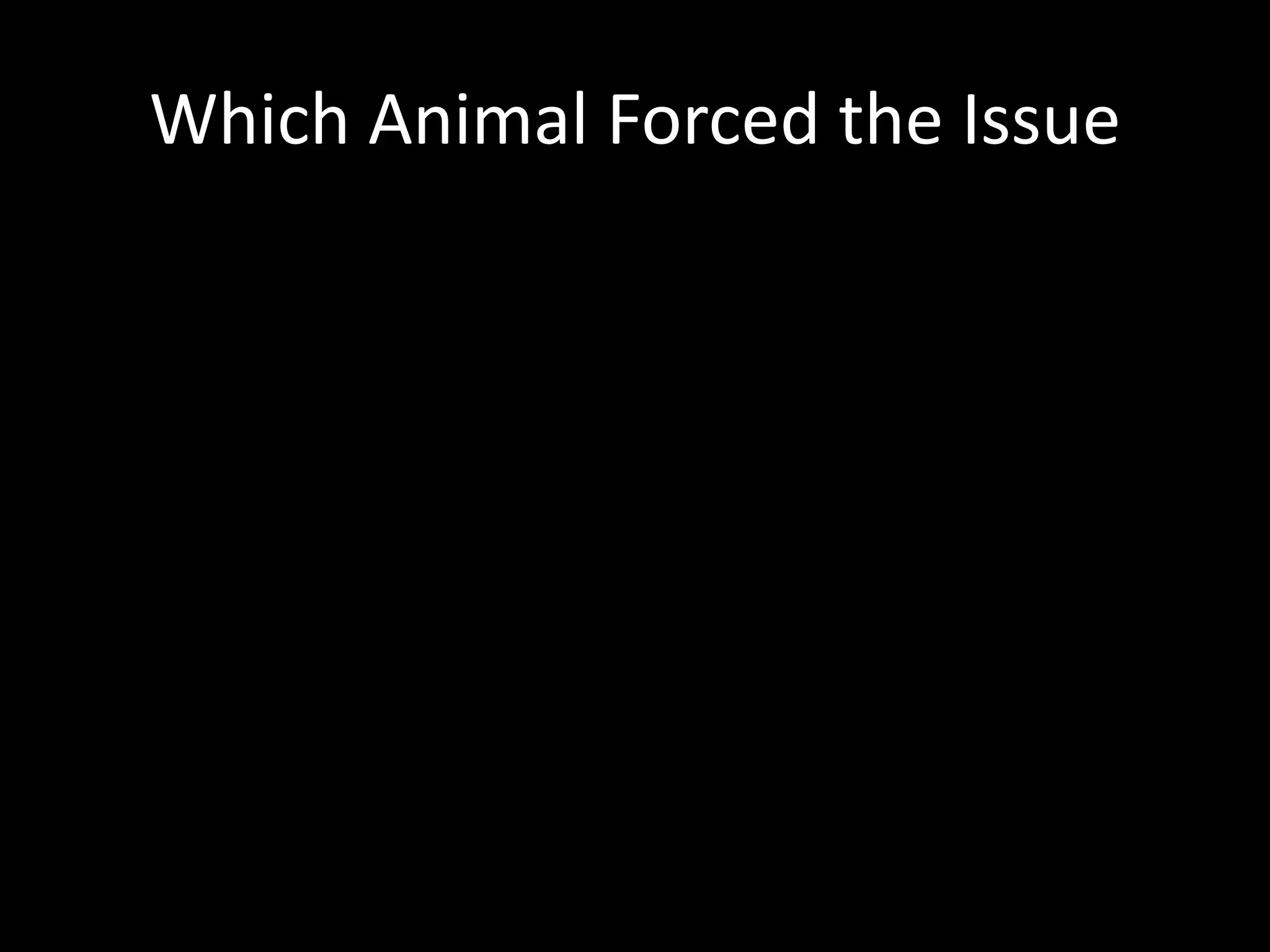 Which Animal Forced the Issue
 