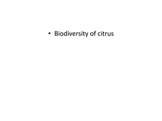 • Biodiversity of citrus

 