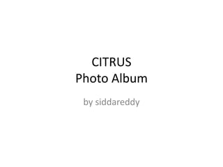 CITRUS 
Photo Album 
by siddareddy 
 