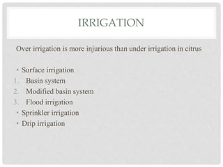 IRRIGATION
Over irrigation is more injurious than under irrigation in citrus
• Surface irrigation
1. Basin system
2. Modified basin system
3. Flood irrigation
• Sprinkler irrigation
• Drip irrigation
 