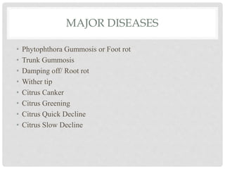 MAJOR DISEASES
• Phytophthora Gummosis or Foot rot
• Trunk Gummosis
• Damping off/ Root rot
• Wither tip
• Citrus Canker
• Citrus Greening
• Citrus Quick Decline
• Citrus Slow Decline
 