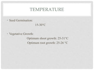 TEMPERATURE
• Seed Germination:
15-30°C
• Vegetative Growth:
Optimum shoot growth: 25-31°C
Optimum root growth: 25-26 °C
 