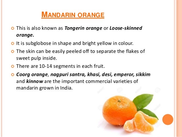 Get Wallpaper Citrus Types Health Benefits Commercial Products Economic Importance For Android Free