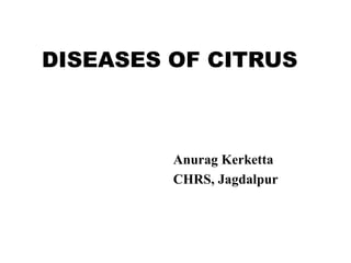 DISEASES OF CITRUS
Anurag Kerketta
CHRS, Jagdalpur
 