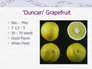 ‘Duncan’ Grapefruit
Dec. - May
3 1/2 - 5
30 - 70 seeds
Good Flavor
White Flesh
 