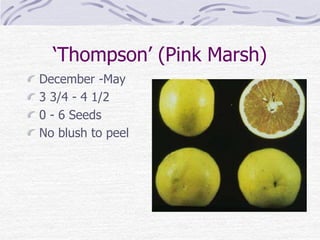 ‘Thompson’ (Pink Marsh)
December -May
3 3/4 - 4 1/2
0 - 6 Seeds
No blush to peel
 