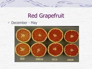 Red Grapefruit
December - May
 