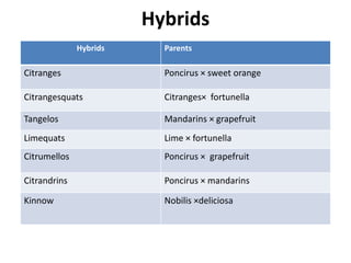 Hybrids
Hybrids Parents
Citranges Poncirus × sweet orange
Citrangesquats Citranges× fortunella
Tangelos Mandarins × grapefruit
Limequats Lime × fortunella
Citrumellos Poncirus × grapefruit
Citrandrins Poncirus × mandarins
Kinnow Nobilis ×deliciosa
 