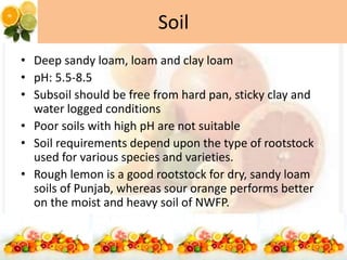 Soil
• Deep sandy loam, loam and clay loam
• pH: 5.5-8.5
• Subsoil should be free from hard pan, sticky clay and
water logged conditions
• Poor soils with high pH are not suitable
• Soil requirements depend upon the type of rootstock
used for various species and varieties.
• Rough lemon is a good rootstock for dry, sandy loam
soils of Punjab, whereas sour orange performs better
on the moist and heavy soil of NWFP.
 