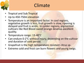 Climate
• Tropical and Sub Tropical
• Up to 450-750m elevation
• Temperature is an important factor. In cool regions,
vegetative growth is less, fruit growth is slow, ripening is
delayed and fruit is acidic. In colder regions, pigmented
cultivars like Red Blood sweet orange develop excellent
quality.
• Temperature range: 13-40°C
• Can endure 0-2°C without injury, depending on the cultivar
and duration of cold period.
• Grapefruit is the high temperature resistant citrus sp.
• Extreme cold and frost can burn flowers and young twigs.
 