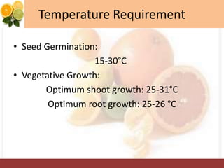 Temperature Requirement
• Seed Germination:
15-30°C
• Vegetative Growth:
Optimum shoot growth: 25-31°C
Optimum root growth: 25-26 °C
 