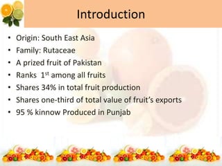 Introduction
• Origin: South East Asia
• Family: Rutaceae
• A prized fruit of Pakistan
• Ranks 1st among all fruits
• Shares 34% in total fruit production
• Shares one-third of total value of fruit’s exports
• 95 % kinnow Produced in Punjab
 