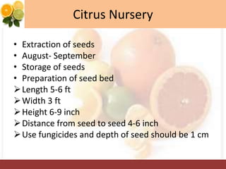 Citrus Nursery
• Extraction of seeds
• August- September
• Storage of seeds
• Preparation of seed bed
Length 5-6 ft
Width 3 ft
Height 6-9 inch
Distance from seed to seed 4-6 inch
Use fungicides and depth of seed should be 1 cm
 