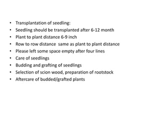 • Transplantation of seedling:
• Seedling should be transplanted after 6-12 month
• Plant to plant distance 6-9 inch
• Row to row distance same as plant to plant distance
• Please left some space empty after four lines
• Care of seedlings
• Budding and grafting of seedlings
• Selection of scion wood, preparation of rootstock
• Aftercare of budded/grafted plants
 