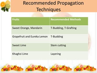 Recommended Propagation
Techniques
Fruits Recommended Methods
Sweet Orange, Mandarin T-Budding, T-Grafting
Grapefruit and Eureka Lemon T-Budding
Sweet Lime Stem cutting
Khaghzi Lime Layering
 