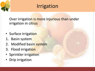 Irrigation
Over irrigation is more injurious than under
irrigation in citrus
• Surface irrigation
1. Basin system
2. Modified basin system
3. Flood irrigation
• Sprinkler irrigation
• Drip irrigation
 