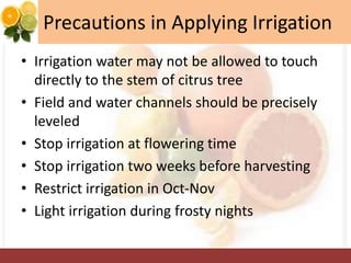 Precautions in Applying Irrigation
• Irrigation water may not be allowed to touch
directly to the stem of citrus tree
• Field and water channels should be precisely
leveled
• Stop irrigation at flowering time
• Stop irrigation two weeks before harvesting
• Restrict irrigation in Oct-Nov
• Light irrigation during frosty nights
 