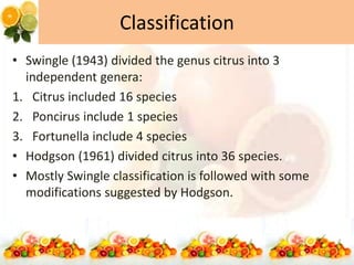 Classification
• Swingle (1943) divided the genus citrus into 3
independent genera:
1. Citrus included 16 species
2. Poncirus include 1 species
3. Fortunella include 4 species
• Hodgson (1961) divided citrus into 36 species.
• Mostly Swingle classification is followed with some
modifications suggested by Hodgson.
 