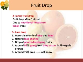 Fruit Drop
2- Initial fruit drop
Fruit drop after fruit set
Due to nutritional imbalance
Weak trees
3- June drop
1. Occurs in month of May and June
2. Natural load sharing
3. Drop of poorly developing fruits
4. Around 96% young fruit drop occurs in Pineapple
orange
5. Around 75% drop ----- in Kinnow
 