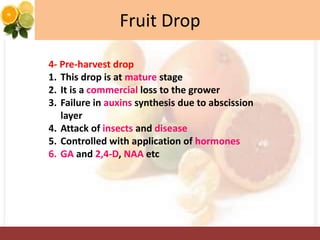 Fruit Drop
4- Pre-harvest drop
1. This drop is at mature stage
2. It is a commercial loss to the grower
3. Failure in auxins synthesis due to abscission
layer
4. Attack of insects and disease
5. Controlled with application of hormones
6. GA and 2,4-D, NAA etc
 