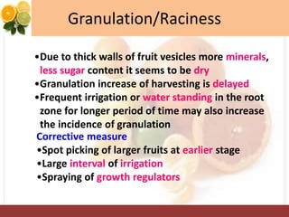 Granulation/Raciness
Corrective measure
•Spot picking of larger fruits at earlier stage
•Large interval of irrigation
•Spraying of growth regulators
•Due to thick walls of fruit vesicles more minerals,
less sugar content it seems to be dry
•Granulation increase of harvesting is delayed
•Frequent irrigation or water standing in the root
zone for longer period of time may also increase
the incidence of granulation
 