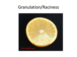 Granulation/Raciness
 