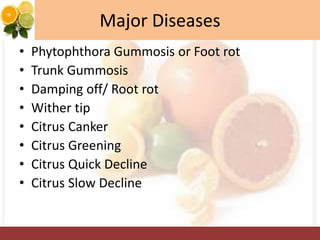 Major Diseases
• Phytophthora Gummosis or Foot rot
• Trunk Gummosis
• Damping off/ Root rot
• Wither tip
• Citrus Canker
• Citrus Greening
• Citrus Quick Decline
• Citrus Slow Decline
 