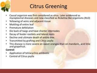 Citrus Greening
• Causal organism was first considered as virus. Later evidenced as
mycoplasmal diseases and now classified as Ricketisa like organisms (RLO)
• Yellowing of veins and adjacent tissue
• Mottling of entire leaf
• Premature defoliation
• Die back of twigs and have shorter internodes
• Decay of feeder rootlets and lateral roots
• Decline and ultimate death of entire tree.
• Transmitted by grafting and Citrus psylla
• This disease is more severe on sweet oranges than on mandarin, acid lime
and grapefruit.
Control:
• Application of tetracycline-antibiotic
• Control of Citrus psylla
 