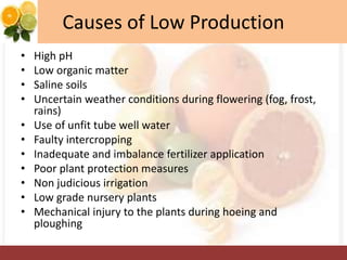 Causes of Low Production
• High pH
• Low organic matter
• Saline soils
• Uncertain weather conditions during flowering (fog, frost,
rains)
• Use of unfit tube well water
• Faulty intercropping
• Inadequate and imbalance fertilizer application
• Poor plant protection measures
• Non judicious irrigation
• Low grade nursery plants
• Mechanical injury to the plants during hoeing and
ploughing
 