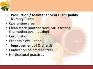 3. Production / Maintenance of High Quality
Nursery Plants
• Quarantine area
• Clean stock (mother trees, virus testing,
thermotherapy, indexing)
• Certification
• Economic evaluation
4. Improvement of Orchards
• Eradication of infected trees
• Horticultural practices
 
