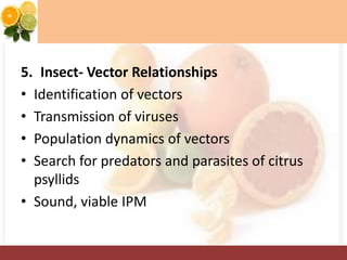 5. Insect- Vector Relationships
• Identification of vectors
• Transmission of viruses
• Population dynamics of vectors
• Search for predators and parasites of citrus
psyllids
• Sound, viable IPM
 
