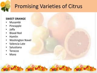 Promising Varieties of Citrus
SWEET ORANGE
• Musambi
• Pineapple
• Jaffa
• Blood Red
• Hamlin
• Washington Navel
• Valencia Late
• Salustiana
• Torocco
• Moro
 