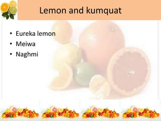 Lemon and kumquat
• Eureka lemon
• Meiwa
• Naghmi
 
