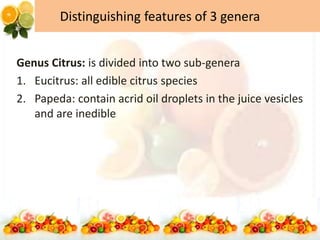 Distinguishing features of 3 genera
Genus Citrus: is divided into two sub-genera
1. Eucitrus: all edible citrus species
2. Papeda: contain acrid oil droplets in the juice vesicles
and are inedible
 