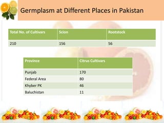Germplasm at Different Places in Pakistan
Total No. of Cultivars Scion Rootstock
210 156 56
Province Citrus Cultivars
Punjab 170
Federal Area 80
Khyber PK 46
Baluchistan 11
 