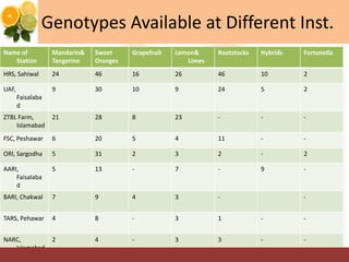 Genotypes Available at Different Inst.
Name of
Station
Mandarin&
Tangerine
Sweet
Oranges
Grapefruit Lemon&
Limes
Rootstocks Hybrids Fortunella
HRS, Sahiwal 24 46 16 26 46 10 2
UAF,
Faisalaba
d
9 30 10 9 24 5 2
ZTBL Farm,
Islamabad
21 28 8 23 - - -
FSC, Peshawar 6 20 5 4 11 - -
ORI, Sargodha 5 31 2 3 2 - 2
AARI,
Faisalaba
d
5 13 - 7 - 9 -
BARI, Chakwal 7 9 4 3 - -
TARS, Pehawar 4 8 - 3 1 - -
NARC,
Islamabad
2 4 - 3 3 - -
 
