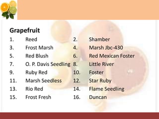 Grapefruit
1. Reed 2. Shamber
3. Frost Marsh 4. Marsh Jbc-430
5. Red Blush 6. Red Mexican Foster
7. O. P. Davis Seedling 8. Little River
9. Ruby Red 10. Foster
11. Marsh Seedless 12. Star Ruby
13. Rio Red 14. Flame Seedling
15. Frost Fresh 16. Duncan
 